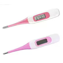 Basal Body Thermometer